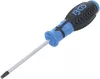 BGS technic Csavarhúzó T30x100mm (BGS 4922)