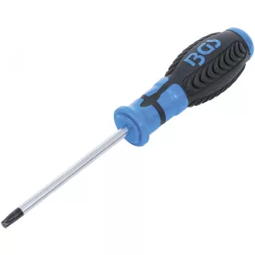 BGS technic Csavarhúzó T30x100mm (BGS 4922)