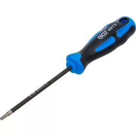   BGS technic Torx csavarhúzó T20, gyémántbevonatú mágneses heggyel, S2 acél, 100 mm (BGS 4973)