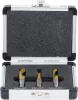 BGS technic Ponthegesztés maró készlet 3 db-os, 5 % cobalt-acél (BGS 5081)