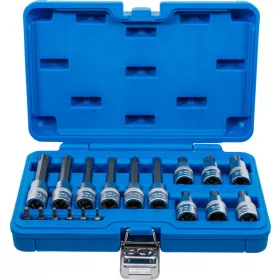   BGS technic Bitfej készlet, 1/4" / 1/2", T-profil (Torx), 18 darabos (5173)