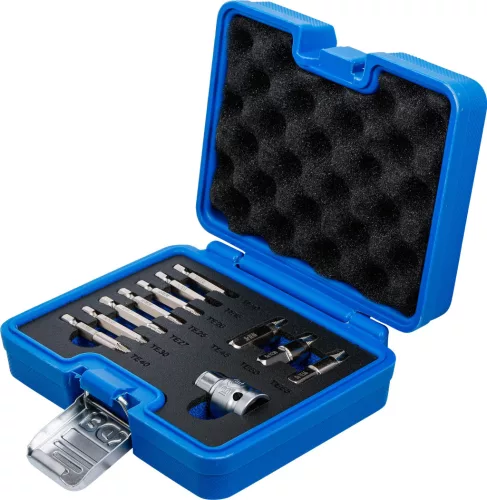 BGS technic Csavarkiszedő készlet sérült Torx / T-profilú csavarokhoz, T10–T55, 11 részes (BGS 74785)