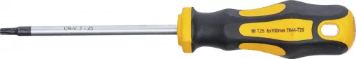 BGS DIY T-fogós Torx csavarhúzó, T25 (BGS 7844-T25)