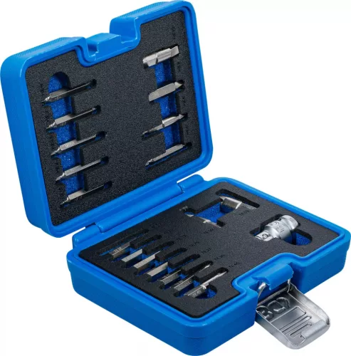 BGS technic Csavarkiszedő készlet | 1,5 - 10 mm belső hatszöghöz / T-profil (Torx) | T10 - T55 | 19 darabos (9173-1)