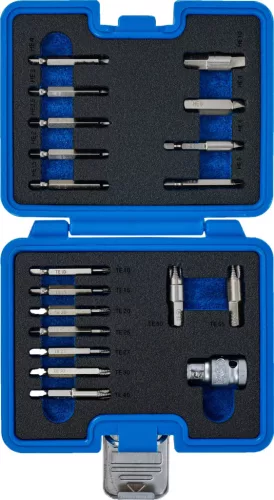 BGS technic Csavarkiszedő készlet | 1,5 - 10 mm belső hatszöghöz / T-profil (Torx) | T10 - T55 | 19 darabos (9173-1)