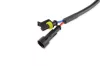 AMiO Xenon adapter HiD típus D2S D2R (01119)