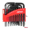 AMiO imbusz- és Torx-kulcsok CRV fekete 22 db (04297)