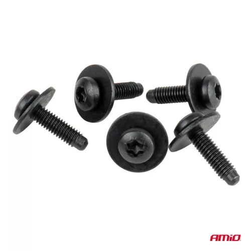 AMiO Torx csavar- és alátétkészlet ⌀ 6 mm 23 mm, 5 készlet (05042)