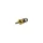 JBM táska 10 szelepS ref. 53599 - 8X22 mm (14601)