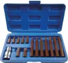 STILKER Torx bitkészlet 1/2 col adapterrel PVC dobozban, 10 mm szár, T20–T55, 15 db (68153)