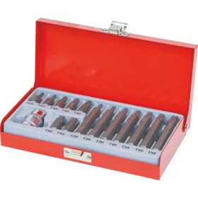   DRAKKAR Torx bitkészlet 1/2 col adapterrel fémdobozban, 10 mm szár, T20–T55, 15 db (68155)