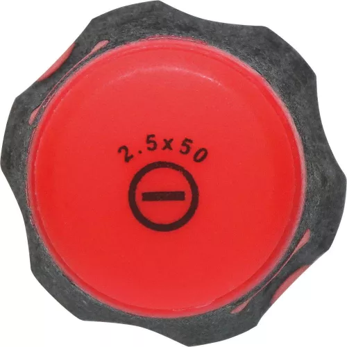 DRAKKAR lapos csavarhúzó egyenes szárral (69079)